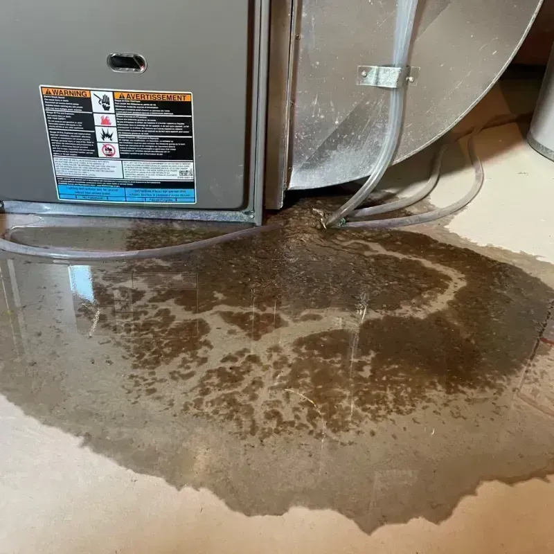 Appliance Leak Cleanup in Logan, WV